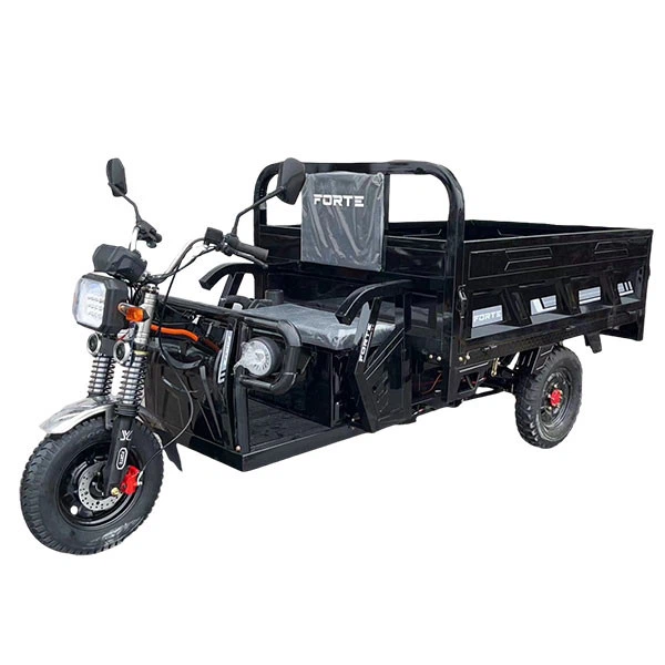 Electric Transportation Tricycle